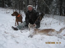 Mtn lion hunting in Montana is a great experience with a hunting guide from Redbone Outfitting.